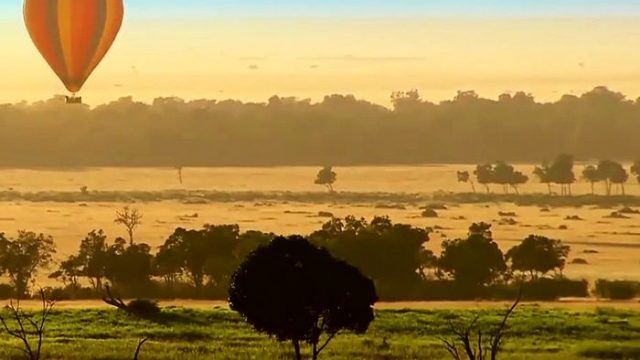 Safari în Africa – O experiență de neuitat