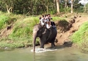 elephant ride
